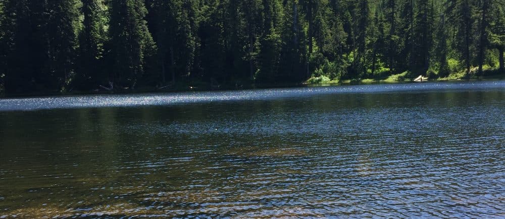 Newakum Lake